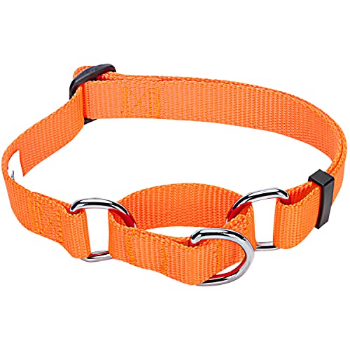 Blueberry Pet Essentials Martingale Safety Training Dog Collar, Florence Orange, Medium, Heavy Duty Nylon Adjustable Collars for Dogs