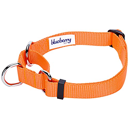 Blueberry Pet Essentials Martingale Safety Training Dog Collar, Florence Orange, Medium, Heavy Duty Nylon Adjustable Collars for Dogs