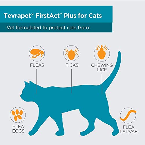 TevraPet FirstAct Plus Cat Flea and Tick Treatment, Flea Medicine for Cats 1.5 lbs and up
