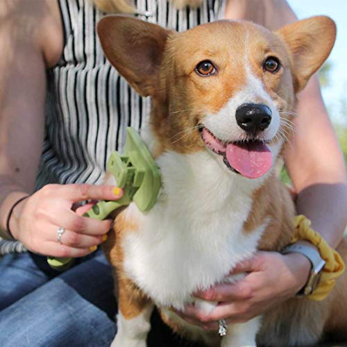 Safari by Coastal Self-Cleaning Slicker with Retractable Stainless Steel Pins for All Coats, Ideal for Dogs with Wirey Hair, Medium (W417)