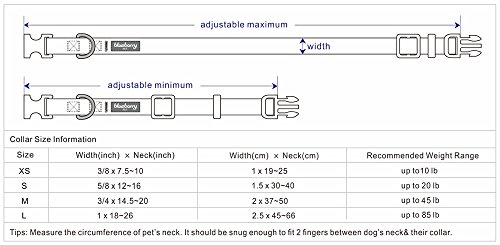 Blueberry Pet Essentials Personalized Dog Collar, Emerald, Medium, Adjustable Customized ID Collars for Medium Dogs Embroidered with Pet Name & Phone Number