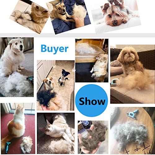 petgle Cat Brush &Cat Comb for Shedding,Pet Deshedding Brush for Cat and Small Dog Reduces Loose Undercoat by 95% Cat Grooming Brush and Deshedding Tools for Long Hair and Short Hair 2.5inch Blue