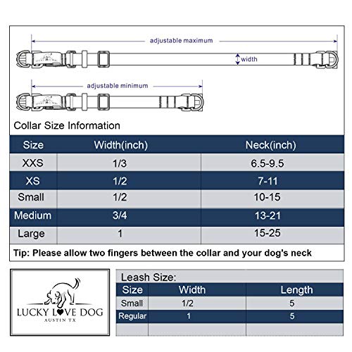 Lucky Love Dog Combo Set, Floral Dog Collar and Leash Set for Large Dogs, Cute Girl Matching Collar & Leash Set, Part of Purchase Donated to Rescue (Ladybird Combo, Large)