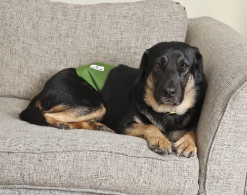 Pet Parents Premium Washable Dog Belly Bands & Extendrs, (3pack) of Male Dog Diapers, Male Dog Wraps, High Absorbing Belly Band for Male Dogs, Color: Gentlemen, Size: Small Dog Belly Band