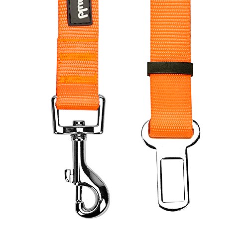 Blueberry Pet Essentials Classic Dog Seat Belt Tether for Dogs Cats, Florence Orange, Durable Safety Car Vehicle Seatbelts Leads Use with Harness