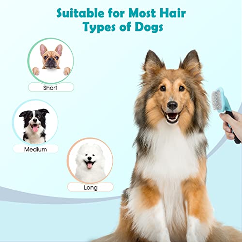 PETPAWJOY Slicker Brush, Dog Brush Gently Cleaning Pin Brush for Shedding Dog Hair Brush for Small Dogs Puppy Yorkie Poodle Rabbits Cats