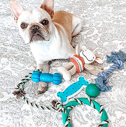 rocket & rex Dog Puppy Chew Toys. Puppy Teething Toys for Small to Medium Dogs. for Puppy Teething and Gums, Dog Teeth Cleaning. Durable, Healthy, Natural Rubber and Cotton Dog Chew Toys. 6 Toy Pack.