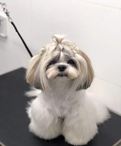 Pet Dog Grooming Loop, Nylon Restraint Noose Adjustable Fixed Dog Cat Safety Tether Straps Dog Grooming Supplies for Pet Grooming Table Bathtub (2 Pack)