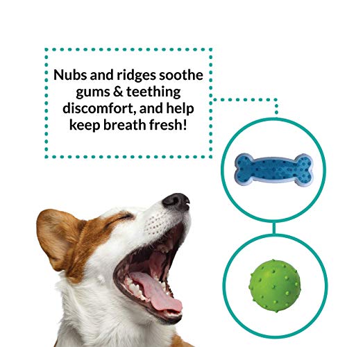 rocket & rex Dog Puppy Chew Toys. Puppy Teething Toys for Small to Medium Dogs. for Puppy Teething and Gums, Dog Teeth Cleaning. Durable, Healthy, Natural Rubber and Cotton Dog Chew Toys. 6 Toy Pack.