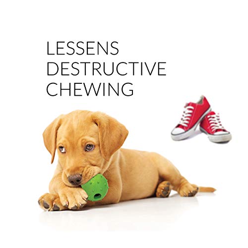 rocket & rex Dog Puppy Chew Toys. Puppy Teething Toys for Small to Medium Dogs. for Puppy Teething and Gums, Dog Teeth Cleaning. Durable, Healthy, Natural Rubber and Cotton Dog Chew Toys. 6 Toy Pack.