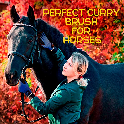 Pet Grooming and Bathing Gloves - Effective Pet Hair Remover for Cats, Dogs & Horses - Long & Short Fur - Gentle Brush for Your Pets