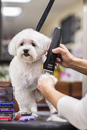 WAHL Professional Animal Creativa Cordless Dog, Cat, Pet, and Horse Clipper with 5-in-1 Adjustable Blade, Black (#41876-0430)