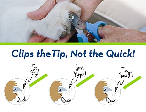 Zen Clipper Pet Nail Clippers for Cats, Birds, Reptiles and Small Animals â The Worry-Free Grooming Nail Clippers, Avoid Painful Overcutting â Stress, Injury-Free Nail Cutting â 1.5mm Hole