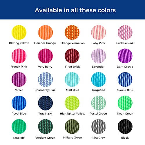 Blueberry Pet Essentials Martingale Safety Training Dog Collar, Turquoise, X-Small, Heavy Duty Nylon Adjustable Collars for Dogs