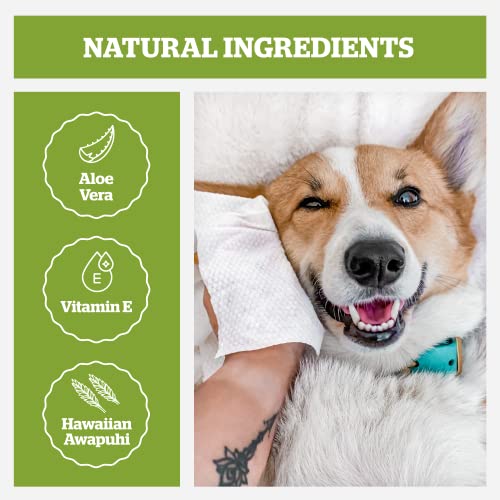 Pogi's Grooming Wipes - 240-Count Travel Pack - Hypoallergenic Pet Wipes for Dogs & Cats - Plant-Based, Green Tea Leaf Scented, Deodorizing Dog Wipes