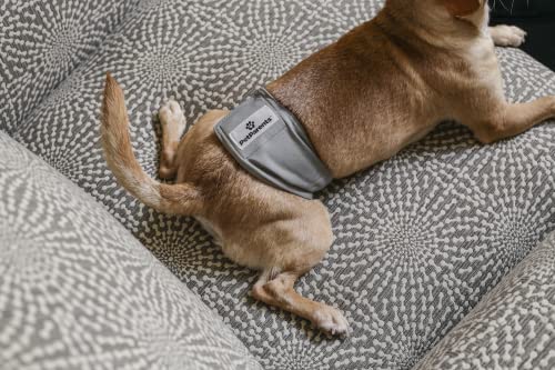 Pet Parents Premium Washable Dog Belly Bands (3pack) of Male Dog Diapers, Dog Marking Male Dog Wraps, WickQuick Belly Band for Male Dogs Color: Natural, Size: Small Dog Belly Band