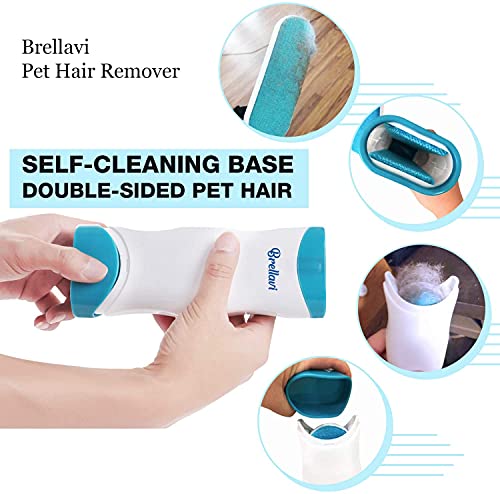 Pet Hair Remover - 1 Double-Sided Standard-Size, 1 Travel Pet Hair Removal Brush, Self-Cleaning Base - Remove Cat and Dog Fur, Lint, Fluff from Carpet, Car Seat, Couch, Clothing, Bedding, Fabric, Blue