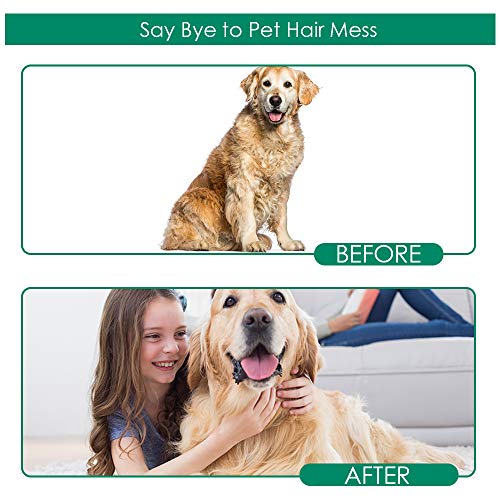 Pet Grooming Gloves: Enhanced Deshedding for Dogs & Cats