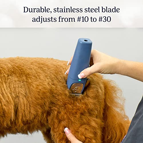 OsterÂ® Professional Fast FeedÂ® Cordless Pet Clippers, Blue for Dogs