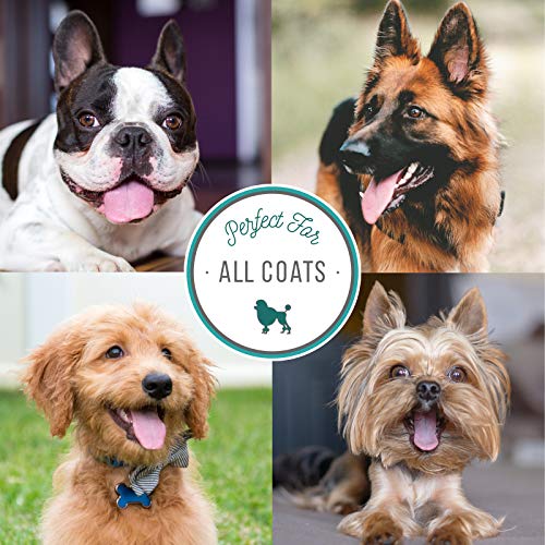 Nature's Specialties Puppy Friendly Conditioning Dog Shampoo for Pets, Concentrate 24:1, Made in USA, Plum Silky, 32oz