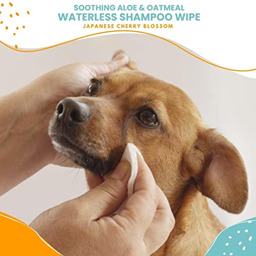 Nootie Waterless Shampoo Wipes For Dogs & Cats-Long Lasting Fragrances-Sold In Over 3000 Vet Clinics-Made In U.S.A. 70 Count