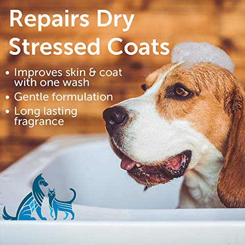 Nootie - Pet Shampoo for Sensitive Skin -Â Revitalizes Dry Skin & Coat - Natural Ingredients - Soap, Paraben & Sulfate Free - Cleans & Conditions