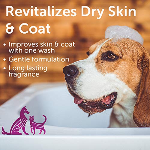 Nootie - Pet Shampoo for Sensitive Skin -Â Revitalizes Dry Skin & Coat - Natural Ingredients - Soap, Paraben & Sulfate Free - Cleans & Conditions