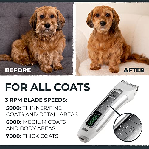 Mighty Paw Dog Nail Clippers | Pet Nail Trimmers & Nail File Set Includes a Built-in Safety Guard to Avoid Cutting Too Short. Stainless Steel Blade & Ergonomic Handle. Vet Recommended.