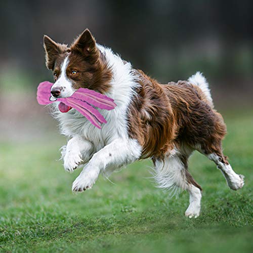 LUFFWELL Durable Dog Squeaky Toys, 2 Pack No Stuffing Plush Crinkle Toys, Animal Chew Toy Interactive with Squeaker for Small Medium Large Dogs, Octopus Design 12.5â