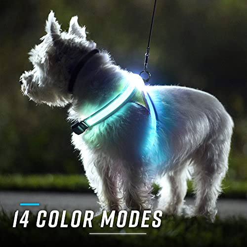 Noxgear LightHound â Revolutionary Illuminated and Reflective Harness for Dogs Including Multicolored LED Fiber Optics (USB Rechargeable, Adjustable, Lightweight, Rainproof) (Large)