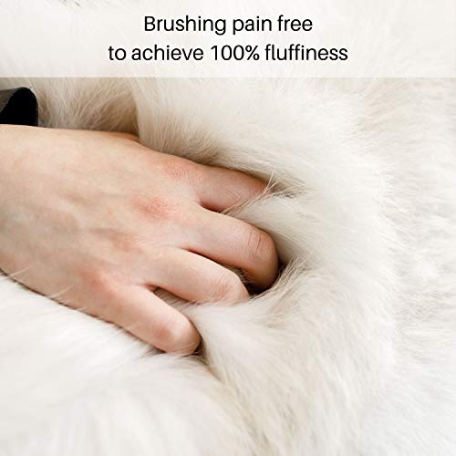 Lomas Pet Grooming Kit for Cat and Dog| Dog Grooming Clippers|Cat Brush for Shedding and Grooming Cat Clippers|