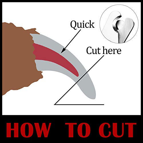 Mudder 4 Pieces Dog Nail Clippers Kit Dog Cat Pets Nail Clippers and Trimmers with Safety Guard to Avoid Over Cutting and Nail File for Large and Small Animals (Black and Red)