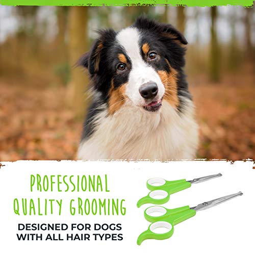 Mighty Paw Dog Grooming Scissors (2 Pack) | Professional Ergonomic Pet Grooming Scissors with Rounded Safety Tips & 2mm Sharp Stainless Steel Blades. for Body, Paw and Face Hair Trimming (Green)