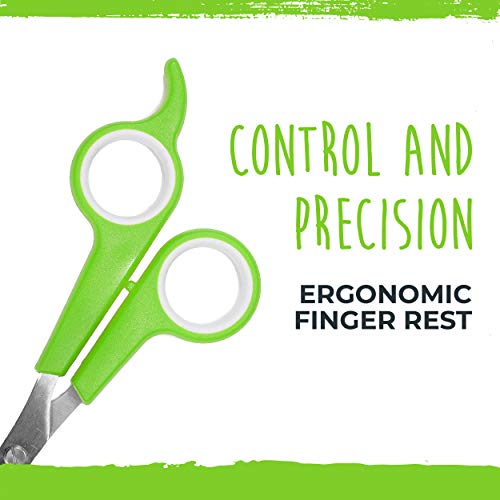 Mighty Paw Dog Grooming Scissors (2 Pack) | Professional Ergonomic Pet Grooming Scissors with Rounded Safety Tips & 2mm Sharp Stainless Steel Blades. for Body, Paw and Face Hair Trimming (Green)