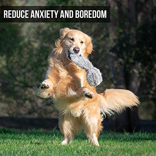 Hyper Pet Doggie Tail Interactive Plush Dog Toys (Wiggles, Vibrates, and Barks  Dog Toys for Boredom and Stimulating Play)