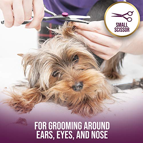 Jecudi Dog Grooming Scissors With Safety Round Tips, 7 In 1 Pet Grooming Scissors Set, Pet Cutting Scissors Kit With Thinning, Straight, Curved Shears & Comb, Lint roller, For Long Or Short Hair