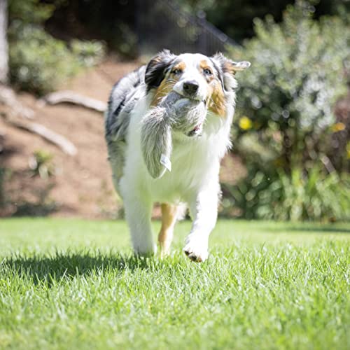 Hyper Pet Doggie Tail Interactive Plush Dog Toys (Wiggles, Vibrates, and Barks  Dog Toys for Boredom and Stimulating Play)