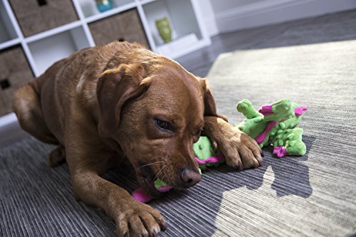 goDog, Dragons, Skinny, Squeaker Dog Toy, Chew Resistant, Durable Plush, Soft, Tough, Reinforced Seams, Green, Large