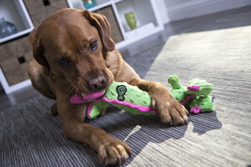 goDog, Dragons, Skinny, Squeaker Dog Toy, Chew Resistant, Durable Plush, Soft, Tough, Reinforced Seams, Green, Large