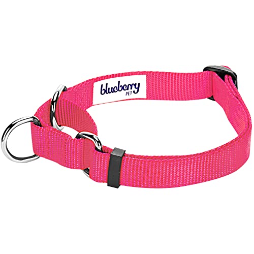French Pink Martingale Collar for Large Dogs