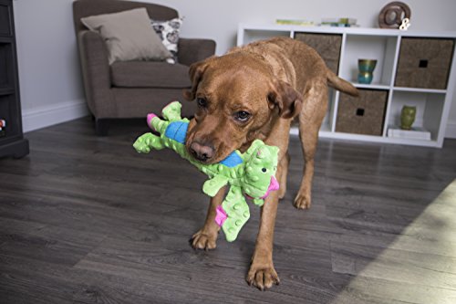 goDog, Dragons, Skinny, Squeaker Dog Toy, Chew Resistant, Durable Plush, Soft, Tough, Reinforced Seams, Green, Large