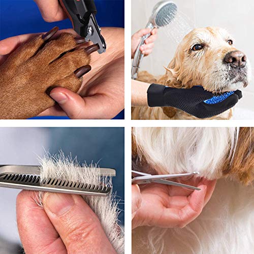 H-Jia Dog Grooming Scissors Set, Safety Round Blunt Tip Pet Grooming Kit-Straight, Curved, Thinning Shears with Comb Grooming Glove, Sharp Durable Grooming Tools for Large Small Dogs and Cats (7PCS)