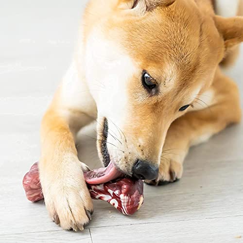 EETOYS Dog Toys for Aggressive Chewers Nearly indestructible Dog Chew Toys For Large Medium Small Dogs Teething Puppies Durable Tough Dog Toys Puppy Chew Toys Made With Hard Nylon (Small, Marbled Red)