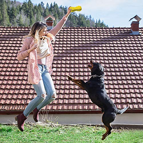 Gelar Dog Chew Toys, Indestructible Dog Toys for Aggressive Chewers, Tough Teeth Cleaning Toothbrush Toy, Interactive Dog Squeak Toy for Boredom, Dinosaur, Milk Flavor