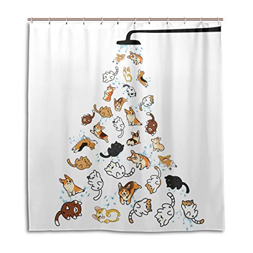 DZGlobal Raining Cats and Dogs Shower Curtain for Kids Cartoon Corgi Animal Shower Curtains for Bathroom Accessories 3D Printing Hilarious Pets Playing Water Design Bath Decor 72x72 with 12 Hooks