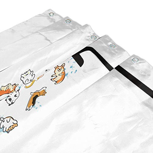 DZGlobal Raining Cats and Dogs Shower Curtain for Kids Cartoon Corgi Animal Shower Curtains for Bathroom Accessories 3D Printing Hilarious Pets Playing Water Design Bath Decor 72x72 with 12 Hooks