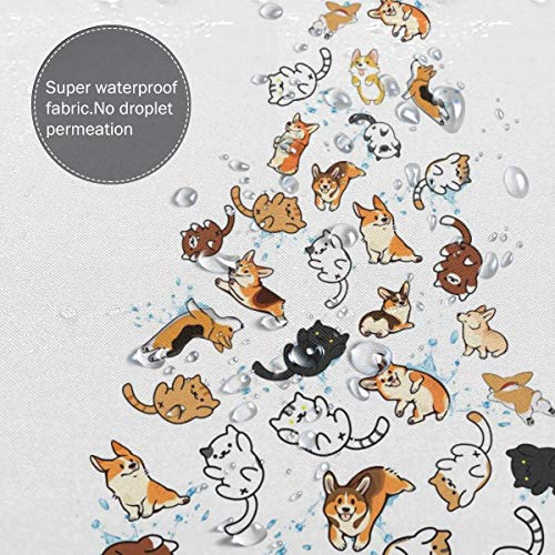 DZGlobal Raining Cats and Dogs Shower Curtain for Kids Cartoon Corgi Animal Shower Curtains for Bathroom Accessories 3D Printing Hilarious Pets Playing Water Design Bath Decor 72x72 with 12 Hooks