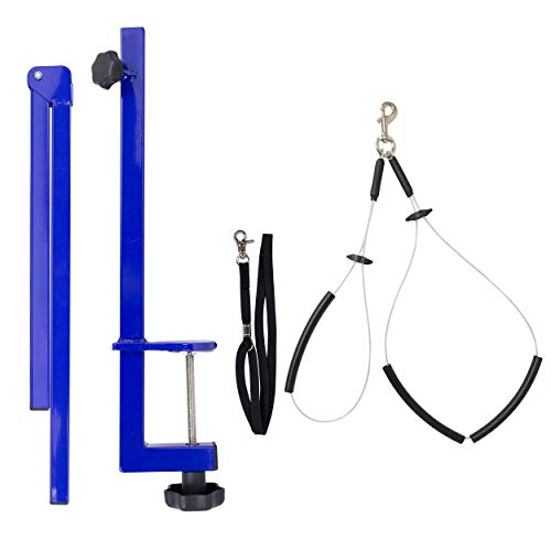 Downtown Pet Supply - Portable Dog Grooming Arm with Loop & Clamp for Pet Grooming Table - Dog Grooming Supplies 27in Foldable Blue Steel Arm with S/M (19 or 21in) No Sit Haunch Holder