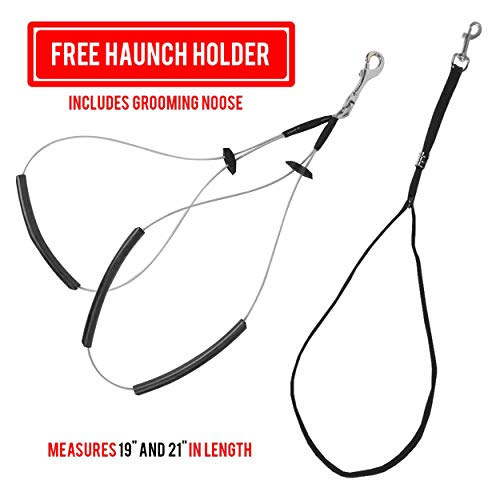 Downtown Pet Supply - Portable Dog Grooming Arm with Loop & Clamp for Pet Grooming Table - Dog Grooming Supplies 27in Foldable Blue Steel Arm with S/M (19 or 21in) No Sit Haunch Holder