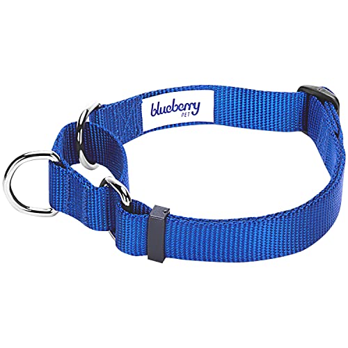 Blueberry Pet Essentials Martingale Safety Training Dog Collar, Royal Blue, Large, Heavy Duty Nylon Adjustable Collars for Dogs